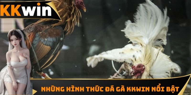 Những hình thức đá gà KKWIN nổi bật